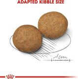 Royal Canin Adult Yetişkin Kuru Köpek Maması 15 kg