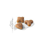 Royal Canin Sensible Kedi Maması 400 Gr x 5 Adet