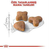 Royal Canin Sensible 33 Kuru Kedi Maması 4 kg + 2 Adet Yaş Mama Hediye