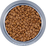 Royal Canin Kitten Kuru Yavru Kedi Maması 4 Kg