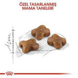 Royal Canin Kitten Yavru Kuru Kedi Maması 4 Kg + 2 Adet Yaş Mama Hediye