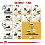 Royal Canin Persian Yetişkin İran Kedisi Maması 10 Kg