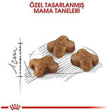 Royal Canin Kitten Yavru Kedi Maması, 10 Kg