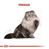 Royal Canin Persian Yetişkin Kedi Maması 4 kg + 2 Adet Yaş Mama Hediye