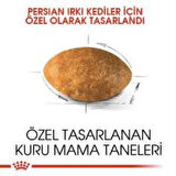 Royal Canin Persian Yetişkin Kedi Maması 4 kg + 2 Adet Yaş Mama Hediye