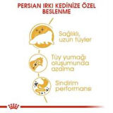Royal Canin Persian Yetişkin Kedi Maması 4 kg + 2 Adet Yaş Mama Hediye