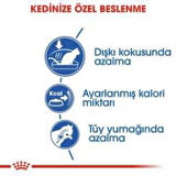 Royal Canin İndoor 27 Kuru Kedi Maması 2 Kg + 2 Adet Yaş Mama Hediye