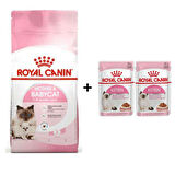 Royal Canin Mother BabyCat  Yavru Kuru Kedi Maması 2 Kg + 2 Adet Yaş Mama Hediye