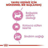 Royal Canin Mother BabyCat  Yavru Kuru Kedi Maması 2 Kg + 2 Adet Yaş Mama Hediye