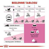 Royal Canin Mother BabyCat  Yavru Kuru Kedi Maması 4 Kg + 1 Adet Yaş Mama Hediye