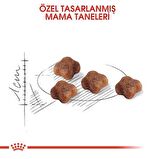 Royal Canin Mother Baby Cat Yavru Kedi Maması 4 Kg