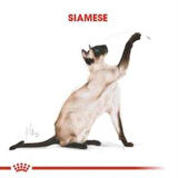 Royal Canin Siamese Yetişkin Kedi Maması 2 kg + 2 Adet Yaş Mama Hediye