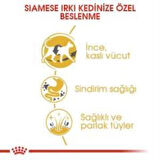 Royal Canin Siamese Yetişkin Kedi Maması 2 kg + 2 Adet Yaş Mama Hediye