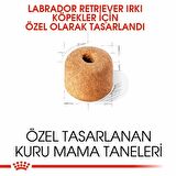 Royal Canin Labrador Yetişkin Köpek Maması 12 Kg 
