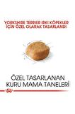 Royal Canin® Yorkshire Terier Yetişkin Köpek Maması 1,5 Kg + 2 Adet Yaş Mama Hediyeli