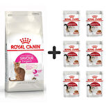 Royal Canin Savour Exigent  Kuru Kedi Maması 4 Kg + 6 Adet Yaş Mama