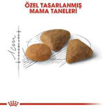 Royal Canin Savour Exigent  Kuru Kedi Maması 4 Kg + 2 Adet Yaş Mama Hediye