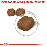 Royal Canin Oral Care Kedi Maması 1,5 Kg + 2 Adet Yaş Mama Hediye