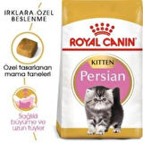 Royal Canin Kitten Persian Yavru Kedi Maması 2 kg + 2 Adet Yaş Mama Hediye