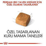 Royal Canin Kitten Persian Yavru Kedi Maması 2 kg + 2 Adet Yaş Mama Hediye
