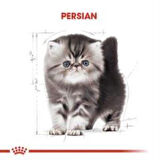 Royal Canin Kitten Persian Yavru Kedi Maması 2 kg + 2 Adet Yaş Mama Hediye