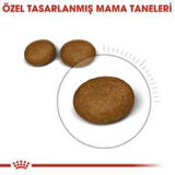 Royal Canin Hair Skin  Kedi  Maması 2 Kg + 2 Adet Yaş Mama Hediye