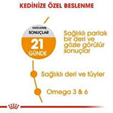 Royal Canin Hair Skin  Kedi  Maması 2 Kg + 2 Adet Yaş Mama Hediye