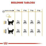 Royal Canin Hair Skin  Kedi  Maması 2 Kg + 2 Adet Yaş Mama Hediye