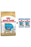 Chihuahua Junior Yavru Köpek Maması 1,5 Kg + 2 Adet Yaş Mama
