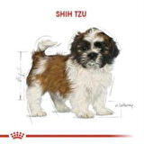 Royal Canin Shih Tzu Puppy Yavru Köpek Maması 1.5 Kg + 2 Adet Yaş Mama Hediye