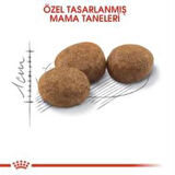 Royal Canin Sterilised Kısırlaştırılmış Kedi Maması 4 Kg + 2 Adet Yaş Mama Hediye