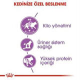 Royal Canin Sterilised Kısırlaştırılmış Kedi Maması 4 Kg + 2 Adet Yaş Mama Hediye