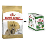 Royal Canin Shih Tzu Yetişkin Köpek Maması 1.5 Kg + 12 Adet Yaş Mama