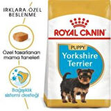 Royal Canin Yorkshire Terrier  Yavru köpek Maması 1,5 kg + 2 Adet Yaş Mama Hediye