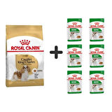 Royal Canin Cavalier King Charles  Yetişkin Köpek Maması 1,5 kg + 6 Adet Yaş Mama