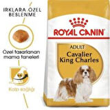 Royal Canin Cavalier King Charles  Yetişkin Köpek Maması 1,5 kg + 2 Adet Yaş Mama Hediye