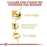 Royal Canin Cavalier King Charles  Yetişkin Köpek Maması 1,5 kg + 2 Adet Yaş Mama Hediye