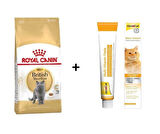 Royal Canin British Shorthair Yetişkin Kedi Maması 2 kg + Gimcat Multivitamin 100 Gr