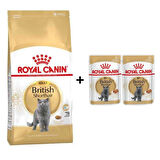 Royal Canin British Shorthair Yetişkin Kedi Maması 2 kg + 2 Adet Yaş Mama Hediye