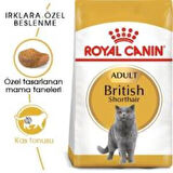 Royal Canin British Shorthair Yetişkin Kedi Maması 2 kg + 2 Adet Yaş Mama Hediye