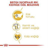 Royal Canin British Shorthair Yetişkin Kedi Maması 2 kg + 2 Adet Yaş Mama Hediye