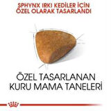 Royal Canin Sphynx Yetişkin Kedi Maması 2 kg + 2 Adet Yaş Mama Hediye