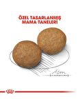 Royal Canin 15Kg Medium Adult Yetişkin Köpek Maması