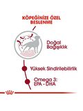 Royal Canin 15Kg Medium Adult Yetişkin Köpek Maması