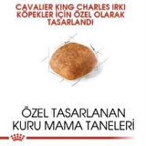 Royal Canin Cavalier King Charles  Yetişkin Köpek Maması 3 kg + 2 Adet Yaş Mama Hediye