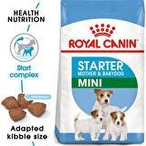 Royal Canin Mini Starter Mother&babydog Köpek Maması 4 Kg