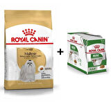 Royal Canin Maltese Bichon Yetişkin Köpek Maması 1,5 kg + 12 Adet Yaş Mama