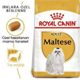 Royal Canin Maltese Bichon Yetişkin Köpek Maması 1,5 kg + 2 Adet Yaş Mama Hediye