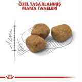 Royal Canin İndoor 7+ Yaşlı Kuru Kedi Maması 1,5 Kg + 2 Adet Yaş Mama Hediye