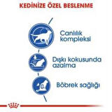 Royal Canin İndoor 7+ Yaşlı Kuru Kedi Maması 1,5 Kg + 2 Adet Yaş Mama Hediye